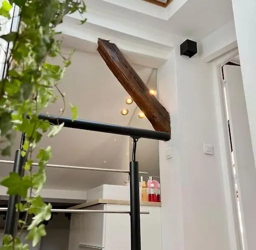 Perle Rare - Cosy Duplex Proche Canal St.martin Apartment Paris